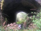 Tunnel